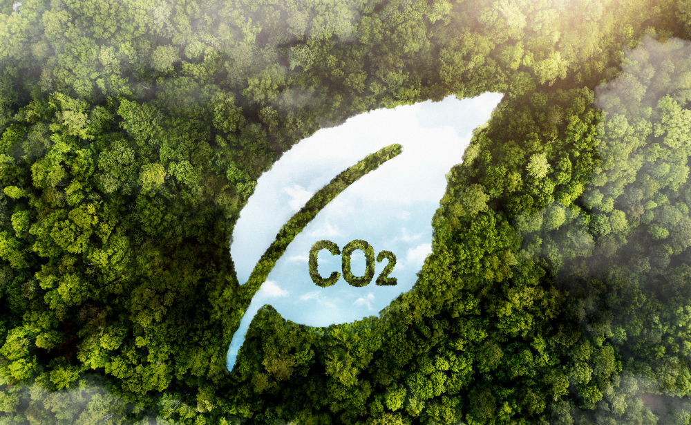 Gaz à effet de serre des systèmes de chauffages dans une foret verte